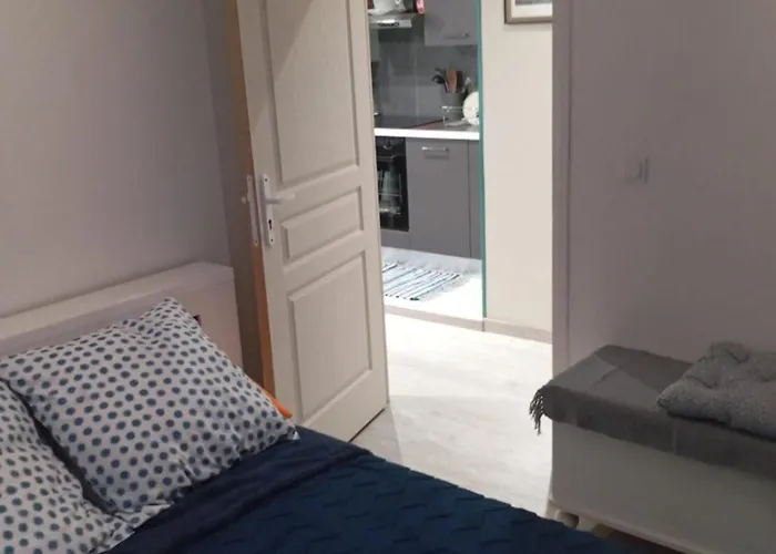 Myosotis マントン