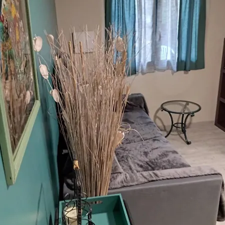 Myosotis Apartament *