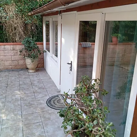 Myosotis Daire Menton