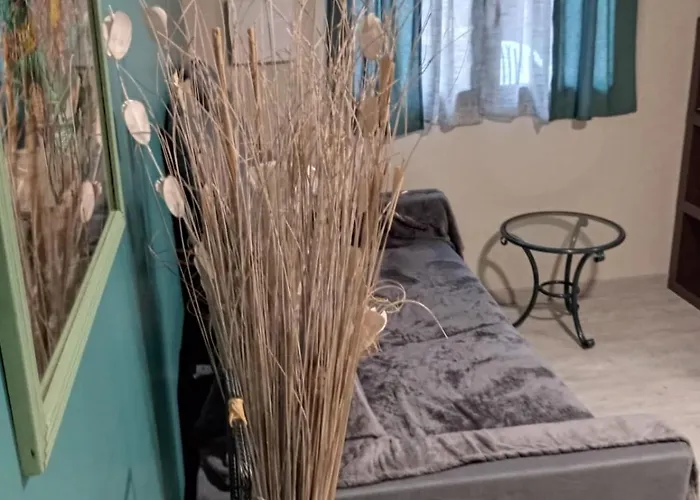 Myosotis Apartment *